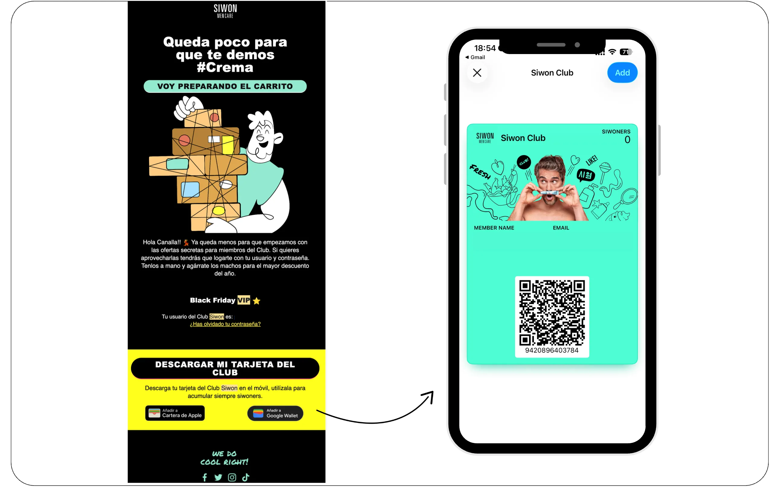 Klaviyo email campaign for card download