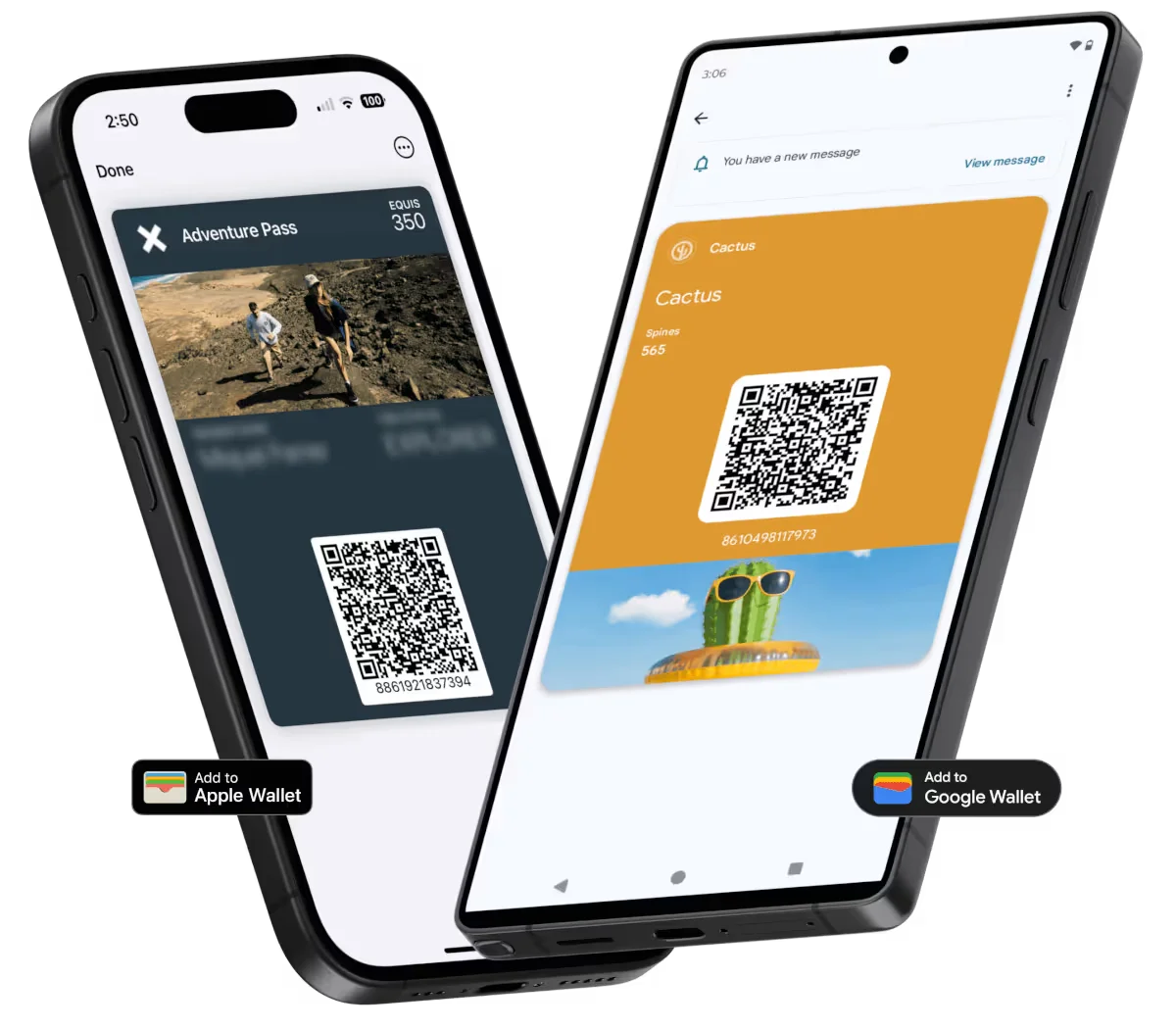 JeriCommerce loyalty platform dashboard